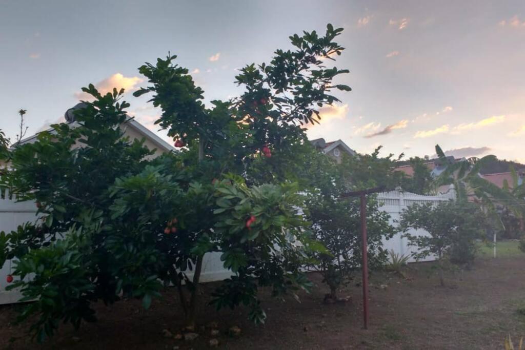 Comfortable Strategic Lodging Quarters Spanish Town Екстер'єр фото